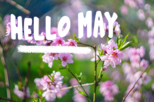 What Is Today In the World in May