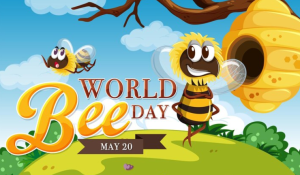 How to celebrate World Bee Day?